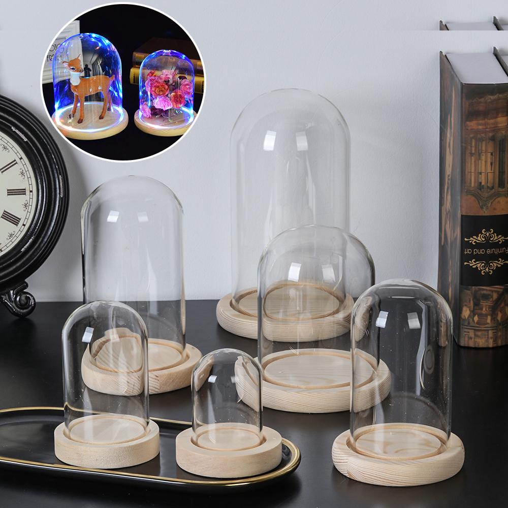 Jarrón de cristal para plantas - Home Decor Vase reseña y precio
