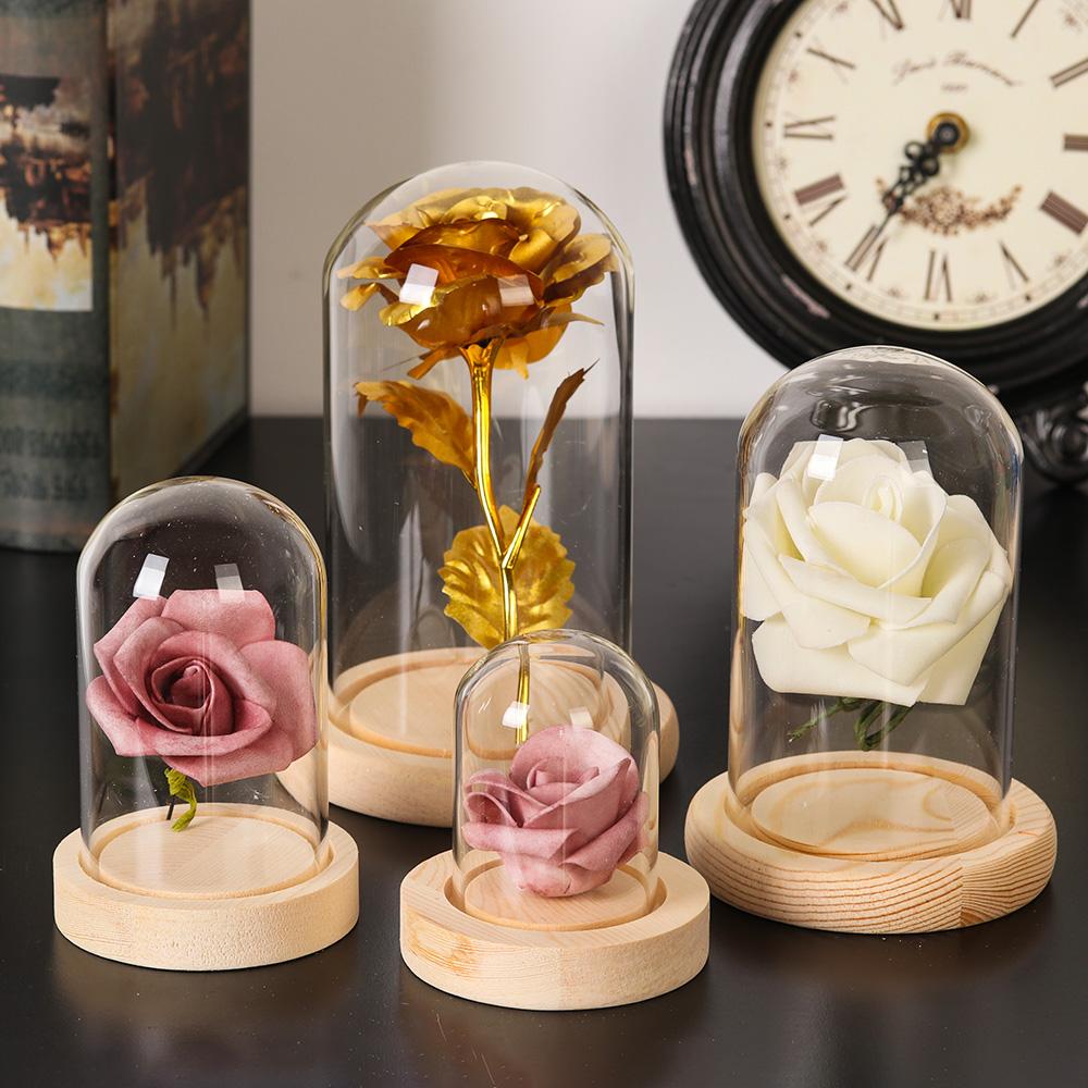 Jarrón de cristal para plantas - Home Decor Vase reseña y precio