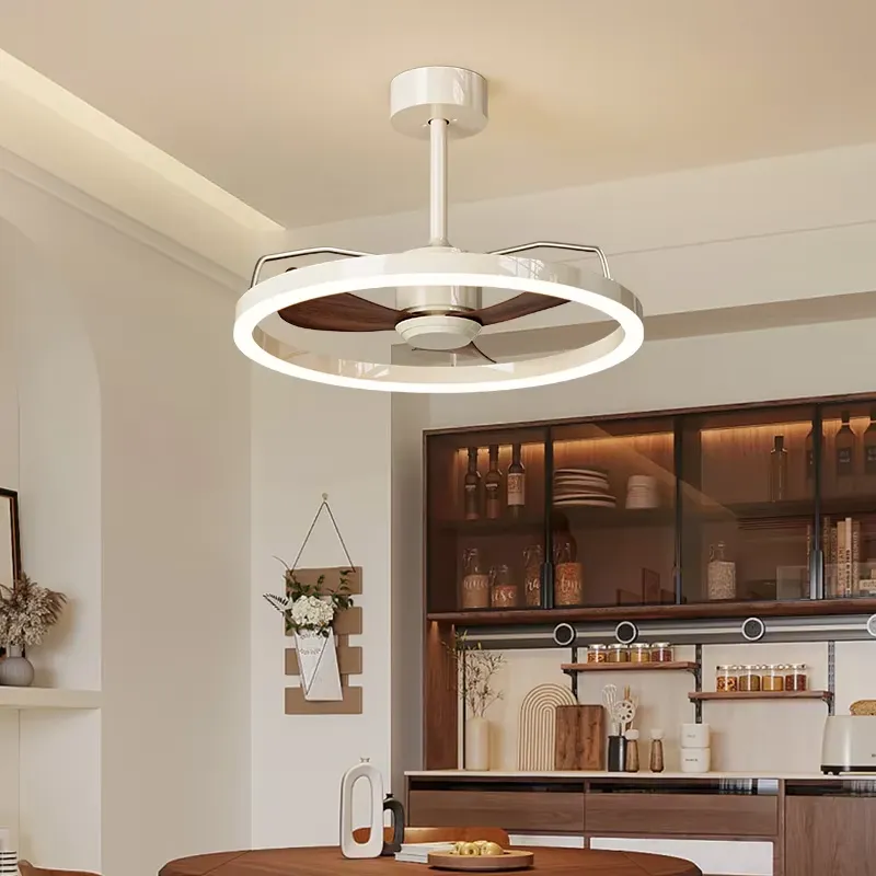 Ventilador de Techo con Luz LE - Home Decor Lamp reseña y precio