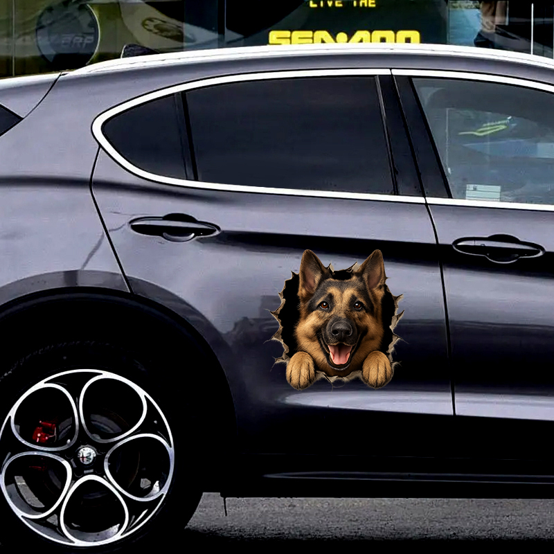 Etiqueta engomada del coche de - Germany Home Decor reseña y precio